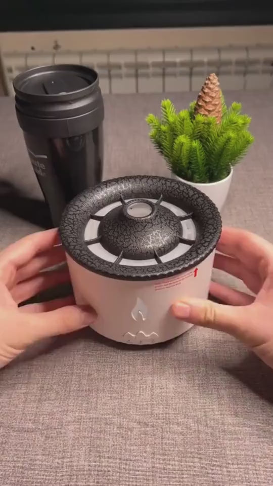 1.mp4